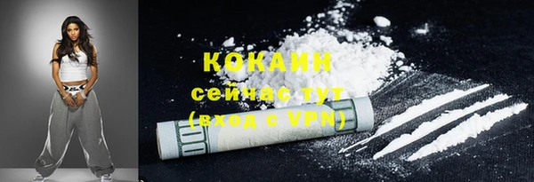 ECSTASY Богданович