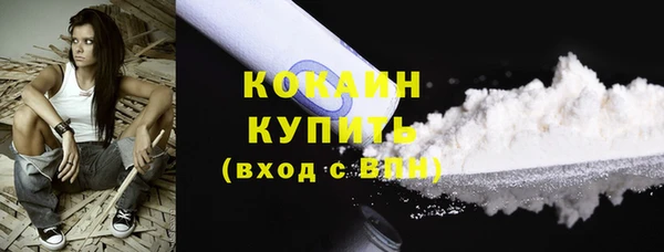 ECSTASY Богданович