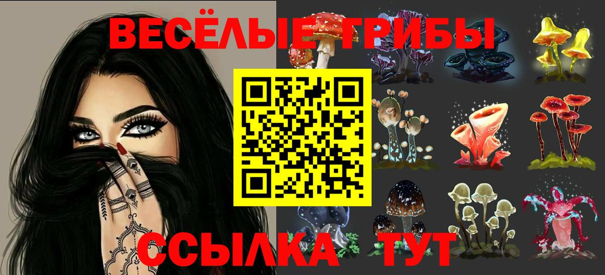 Усть-Лабинск  закладки  Вход с VPN  Галлюциногенные грибы GOLDEN TEACHER 